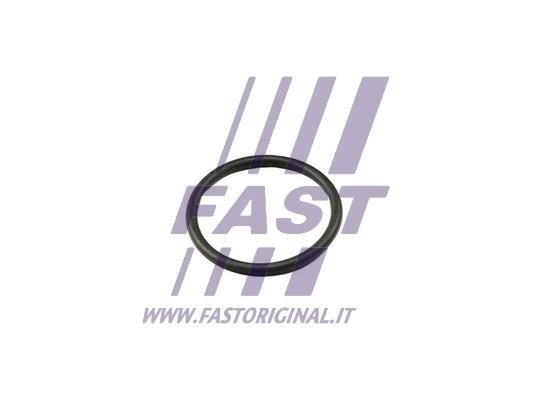 Fast FT49917 Termostat gasket FT49917
