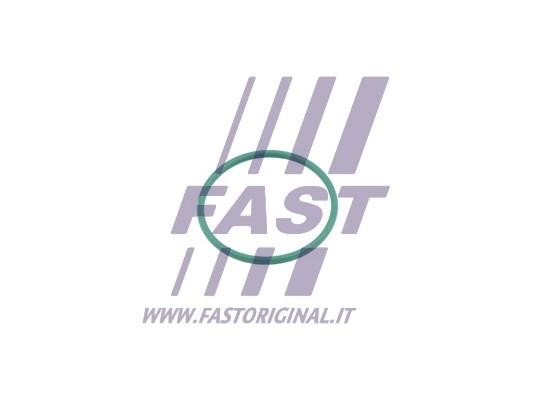Fast FT49921 Seal Ring, turbo air hose FT49921