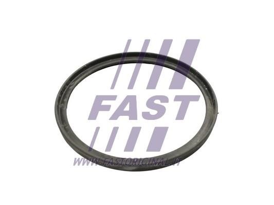 Fast FT49922 Seal Ring, charge air hose FT49922 FT49922 Fast Seal Ring, charge air hose