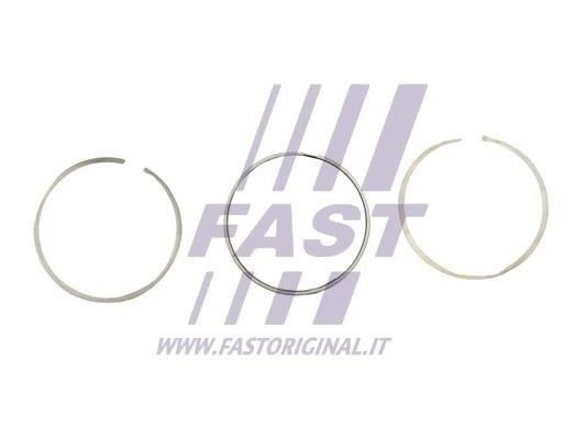 Fast FT47393/0 Piston Ring Kit FT473930