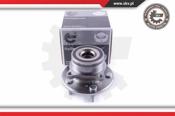 Esen SKV 29SKV369 Wheel bearing kit 29SKV369