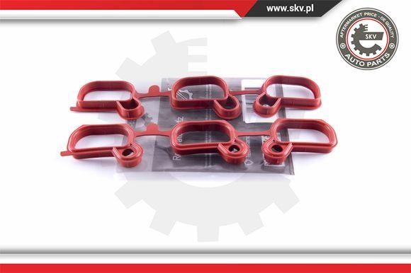 49SKV651 Esen SKV Intake manifold gaskets, kit