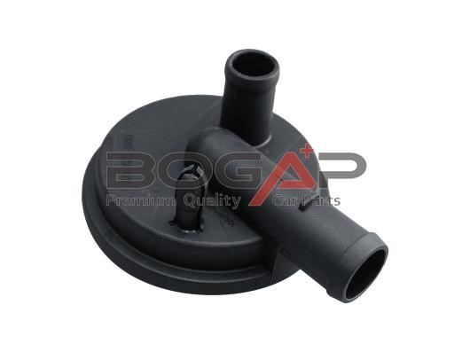 Crankcase ventilation valve Audi A3: A1211102 BOGAP Valve, engine block breather