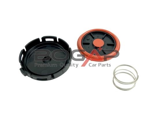 B1116103 BOGAP Valve, engine block breather