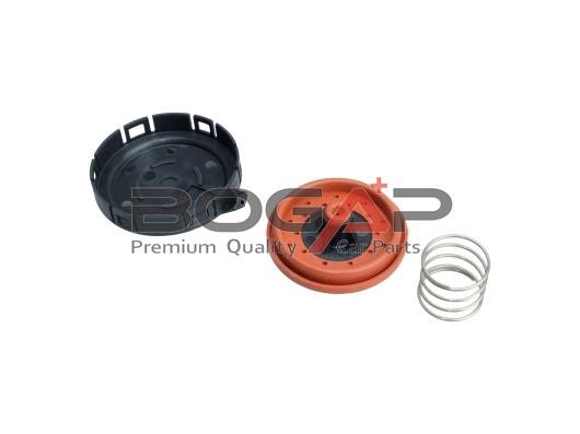 B1116100 BOGAP Valve, engine block breather