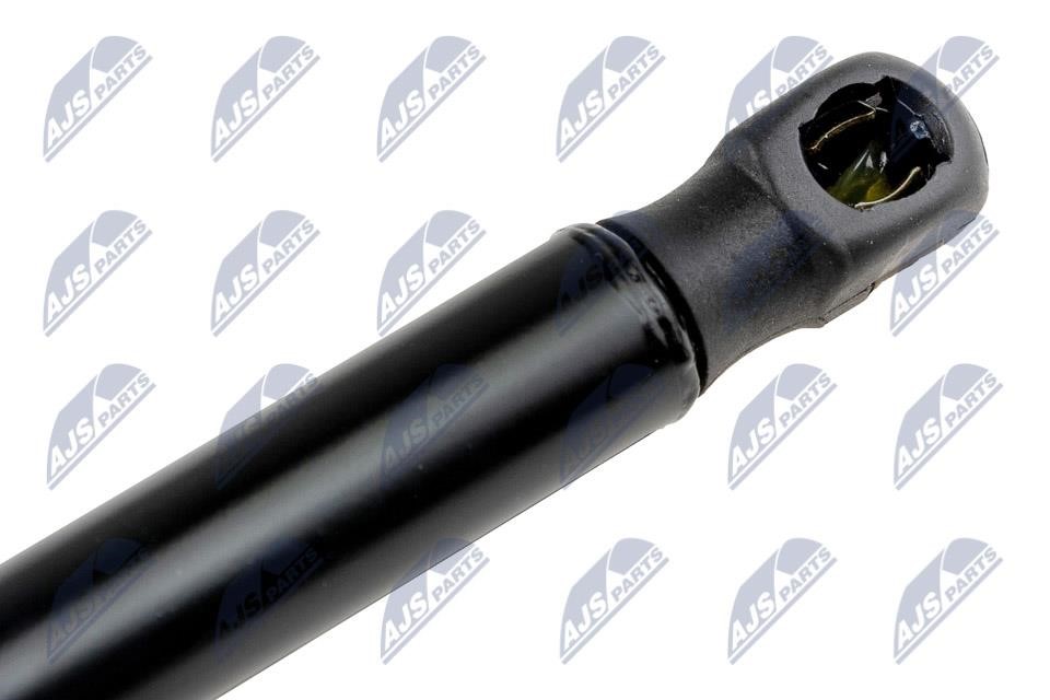 Tailgate strut NTY AE-FR-052
