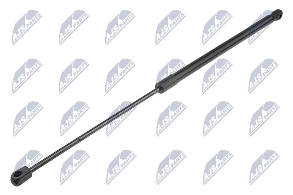NTY AE-FR-058 Tailgate strut AEFR058 AEFR058 NTY Tailgate strut