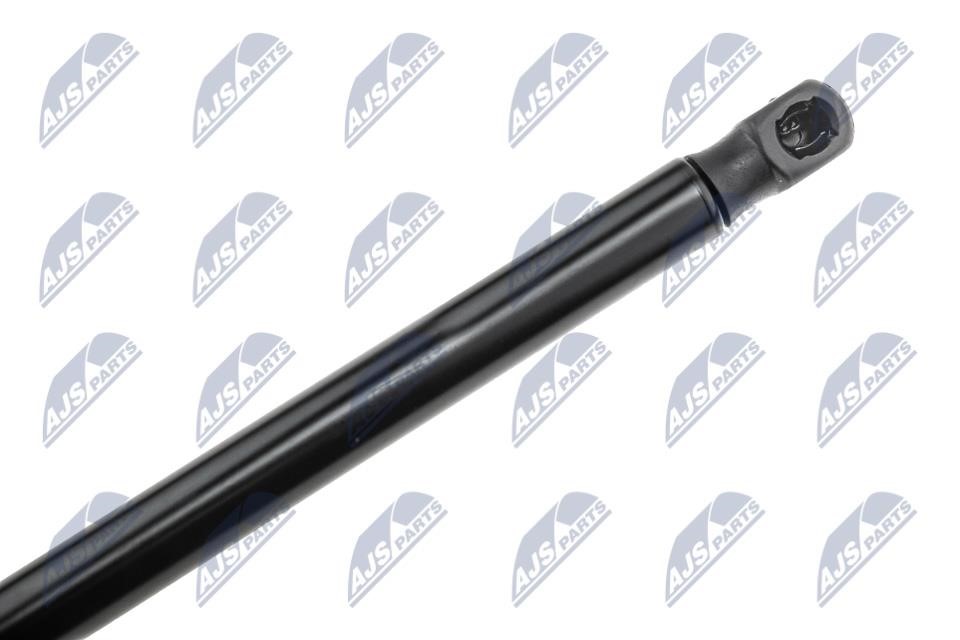 Tailgate strut NTY AE-FR-058