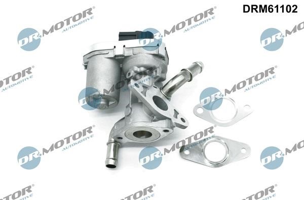 EGR Valve Dr.Motor DRM61102