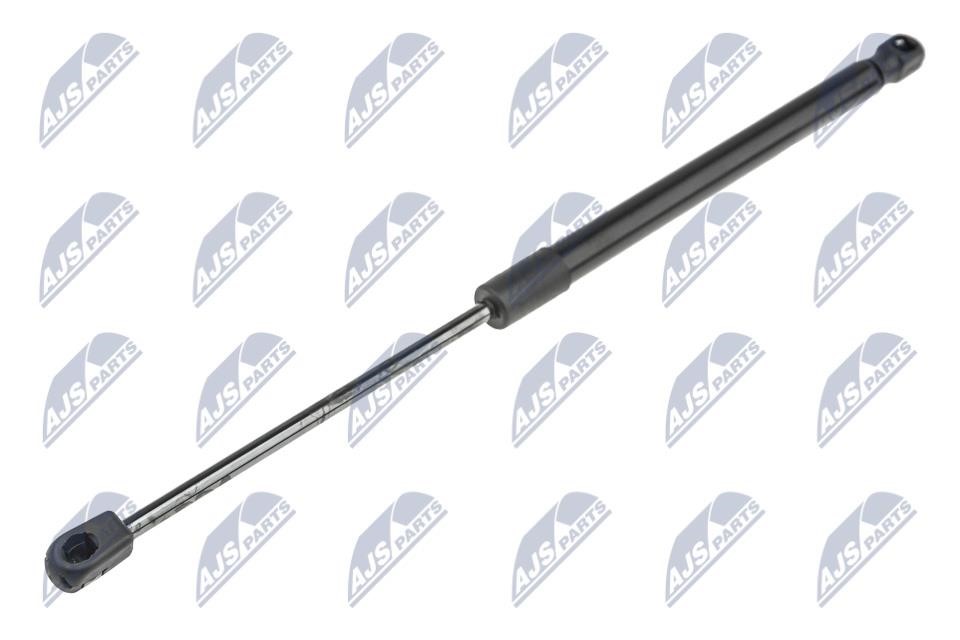NTY AE-BM-067 Tailgate strut AEBM067 AEBM067 NTY Tailgate strut