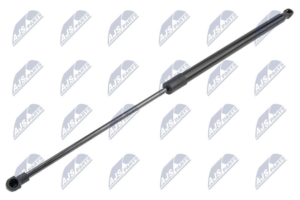 NTY AE-PE-038 Tailgate strut AEPE038 AEPE038 NTY Tailgate strut
