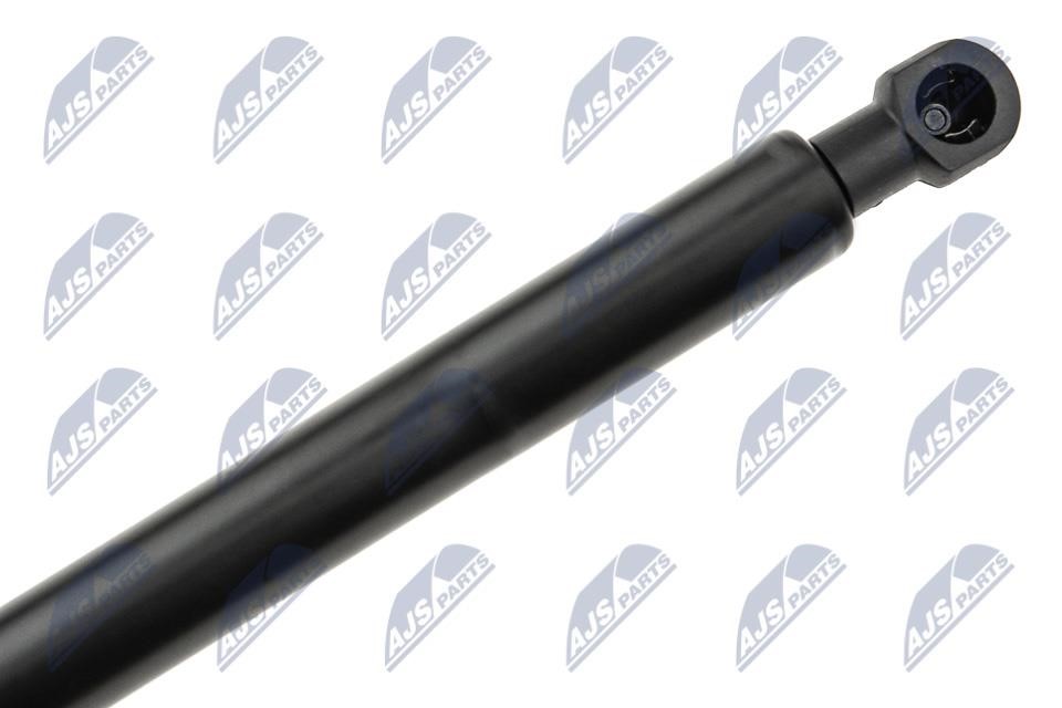 Hood shock absorber NTY AE-RE-065