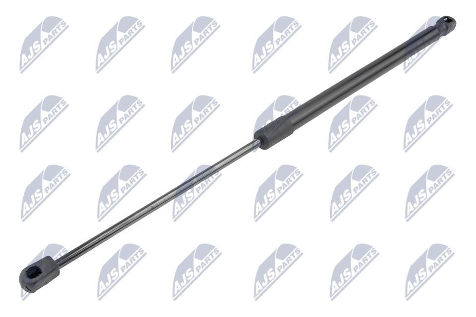 NTY AE-RE-070 Tailgate strut AERE070 AERE070 NTY Tailgate strut
