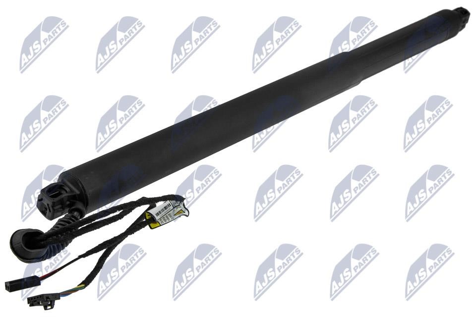 Tailgate gas struts Skoda: AESK029 NTY Tailgate strut