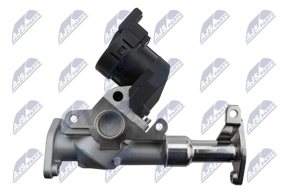 EGR Valve NTY EGR-BM-017