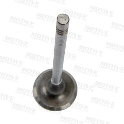 Buy Motive Components IV10040 at a low price in United Arab Emirates!