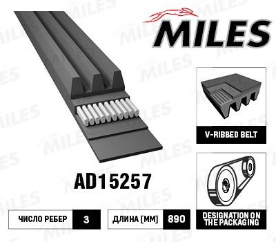 Miles AD15257 V-Ribbed Belt AD15257