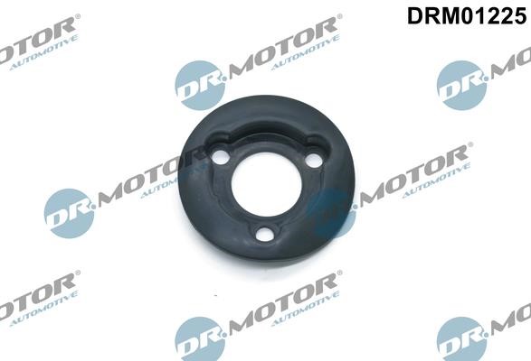 DRM01225 Dr.Motor Gasket