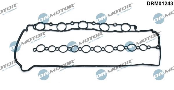 Valve gasket Volvo: DRM01243 Dr.Motor Rocker cover gasket