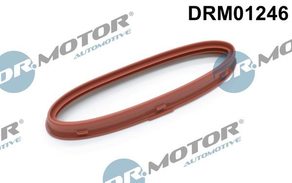 O-rings Mercedes E-Class: DRM01246 Dr.Motor O-ring