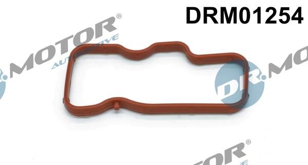 DRM01254 Dr.Motor Intake manifold gasket