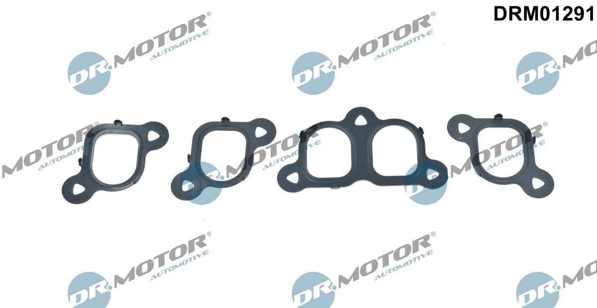 Air intake manifold gasket Volkswagen Transporter: DRM01291 Dr.Motor Intake manifold gaskets, kit