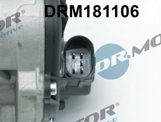 EGR Valve Dr.Motor DRM181106