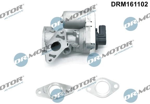 EGR Valve Dr.Motor DRM161102