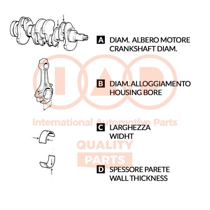 IAP 104-24022 Conrod Bearing Set 10424022