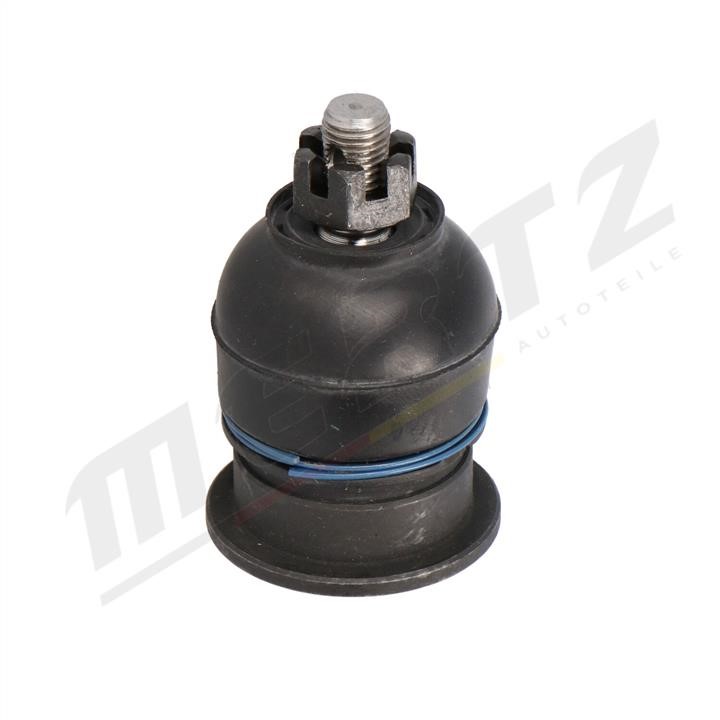 Buy MERTZ MS0539 – good price at EXIST.AE!