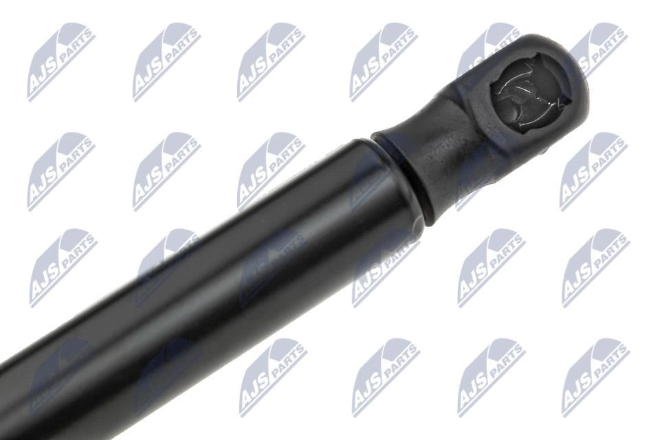 Tailgate strut NTY AE-DW-016