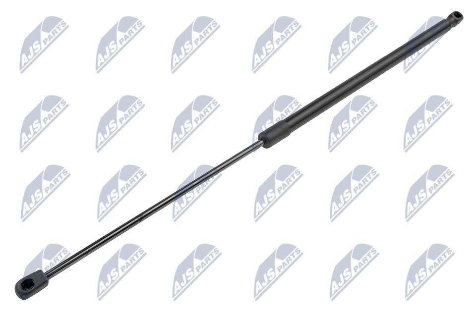 NTY AE-CT-047 Tailgate strut AECT047 AECT047 NTY Tailgate strut