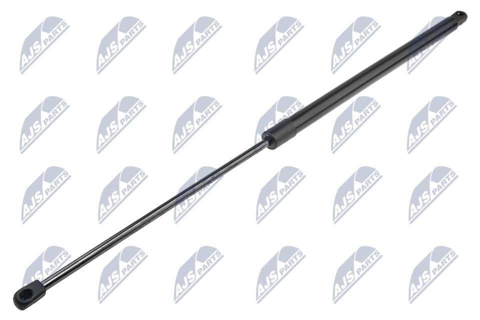 NTY AE-CT-048 Tailgate strut AECT048 AECT048 NTY Tailgate strut