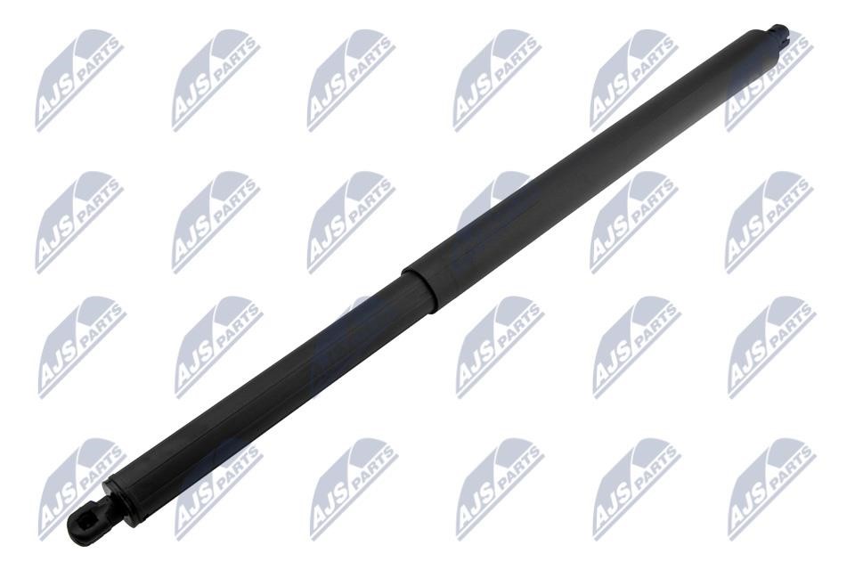 Tailgate gas struts Ford: AEFR077 NTY Tailgate strut