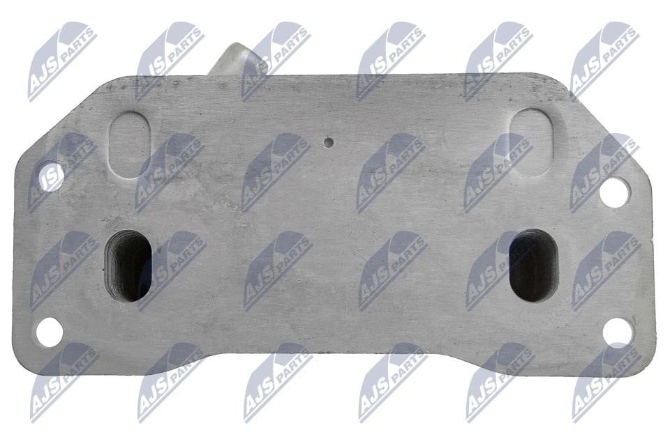 Buy NTY CCL-VV-006 at a low price in United Arab Emirates!