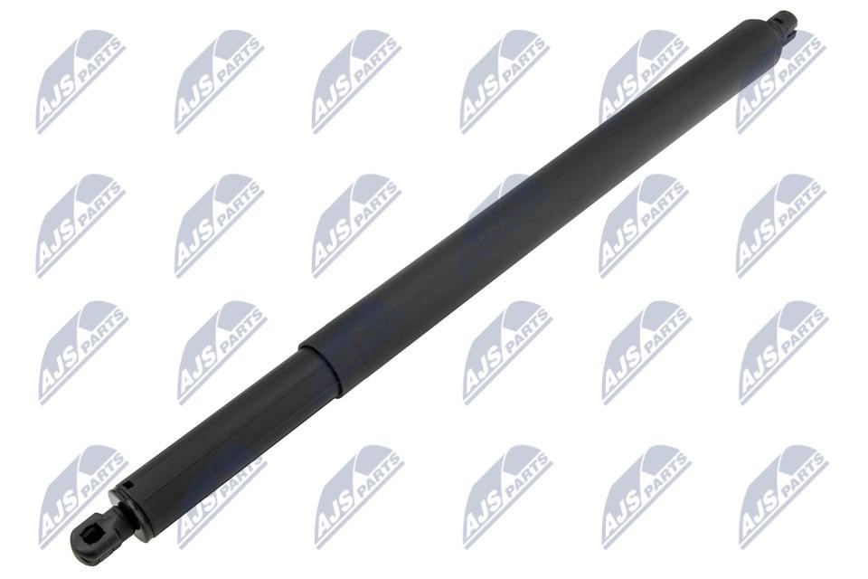 Tailgate gas struts BMW: AEBM111 NTY Tailgate strut