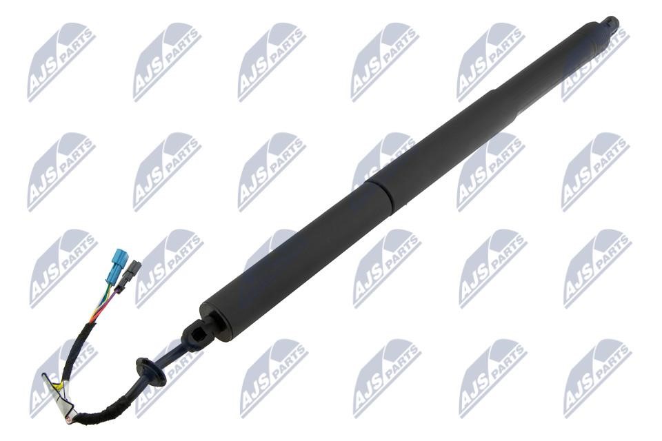 AEBM112 NTY Tailgate strut