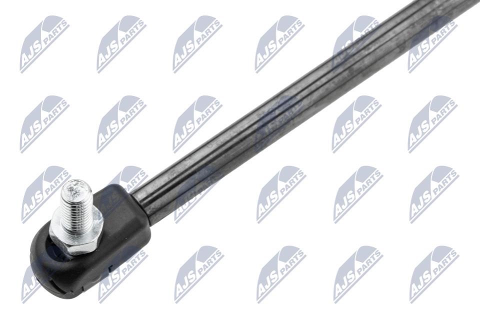 Tailgate strut NTY AE-CH-045