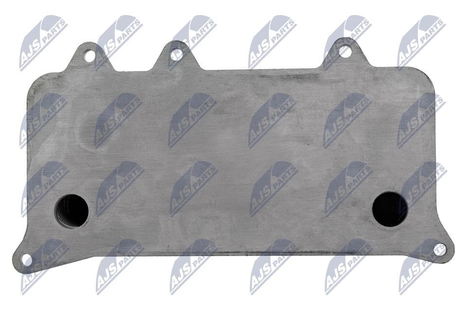 Buy NTY CCL-AU-054 at a low price in United Arab Emirates!