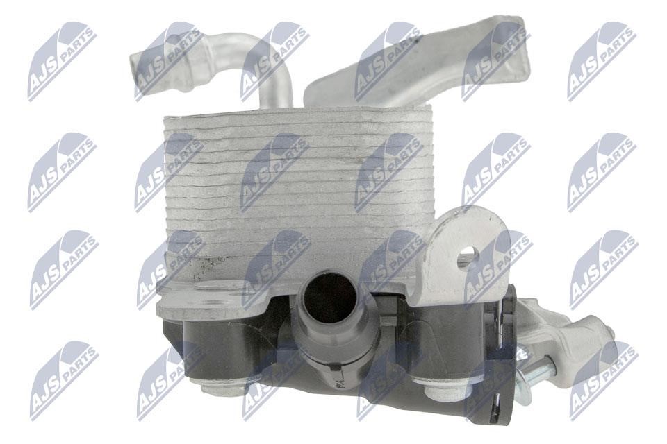 Buy NTY CCL-BM-033 at a low price in United Arab Emirates!