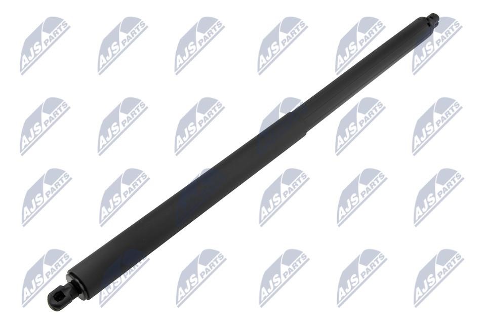 Boot gas struts Ford USA: AEFR068 NTY Tailgate strut