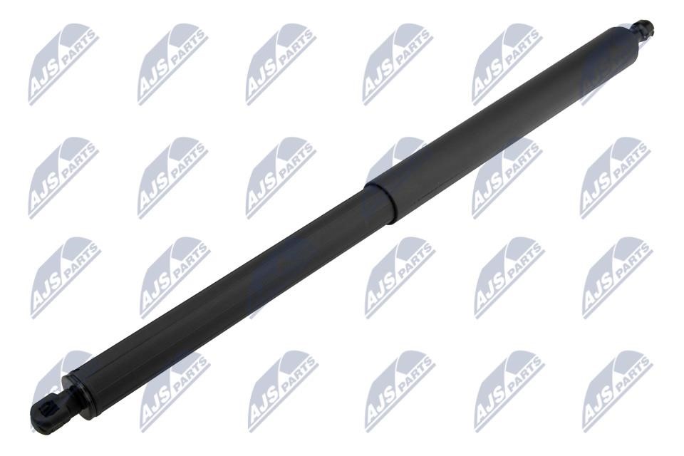 Boot gas struts Ford USA: AEFR072 NTY Tailgate strut