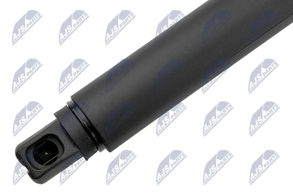 Tailgate strut NTY AE-CH-054