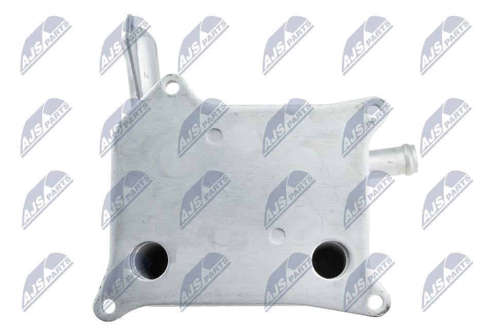 Buy NTY CCL-AU-046 at a low price in United Arab Emirates!