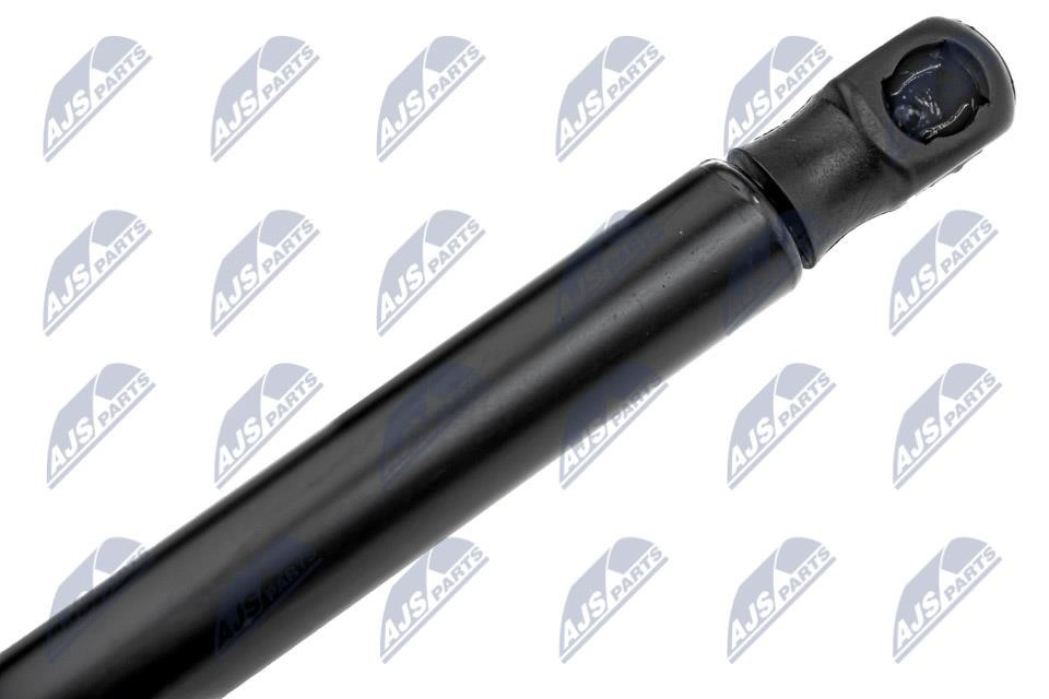 Tailgate strut NTY AE-CH-038