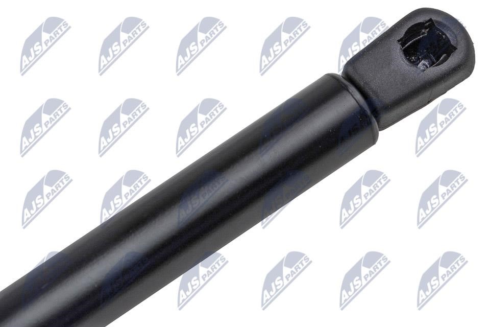 Tailgate strut NTY AE-CH-042