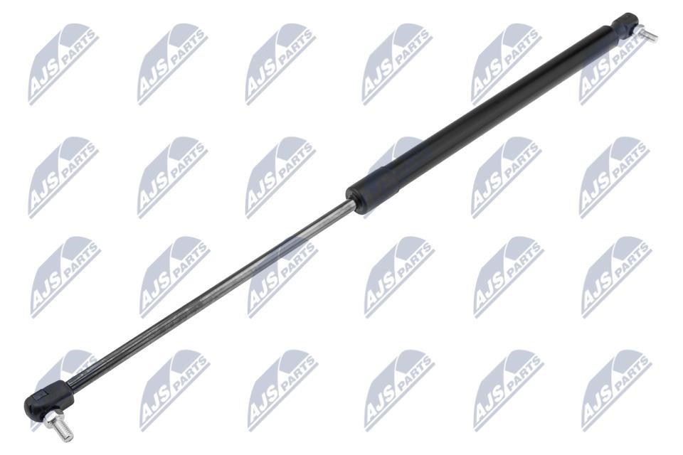 NTY AE-CH-045 Tailgate strut AECH045 AECH045 NTY Tailgate strut