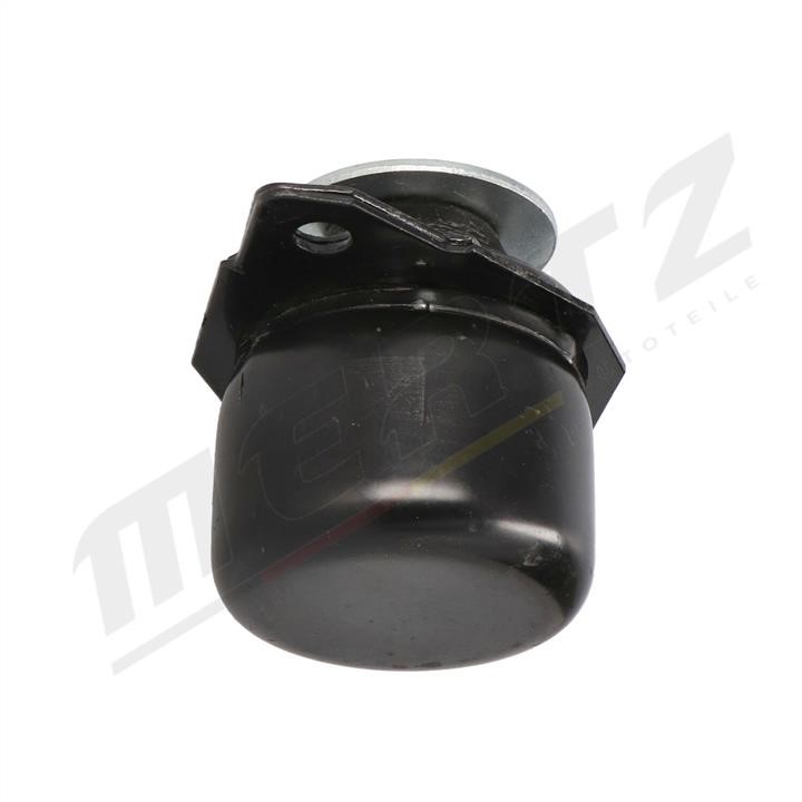 Buy MERTZ M-S4373 at a low price in United Arab Emirates!