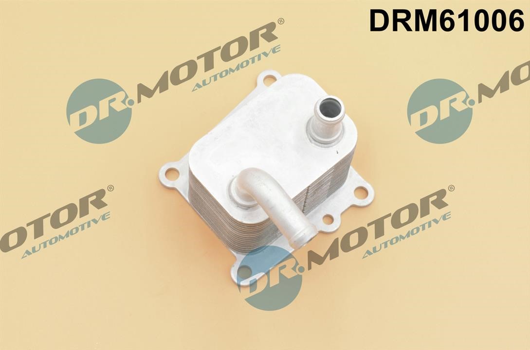 Dr.Motor DRM61006 Oil Cooler, engine oil DRM61006