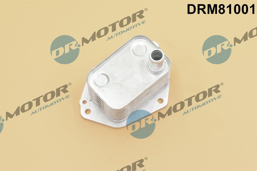 Dr.Motor DRM81001 Oil Cooler, engine oil DRM81001